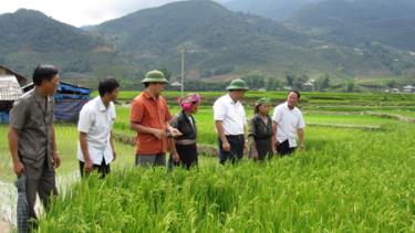 Lãnh đạo huyện Mù Cang Chải kiểm tra tình hình sản xuất ở cơ sở.
