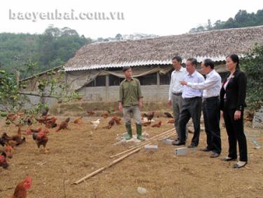 Đồng chí Cao Văn Khải (thứ 2, phải sang) - Chủ tịch HĐND huyện cùng các đại biểu HĐND thăm mô hình nuôi gà thả vườn tại thị trấn Nông trường Trần Phú. (Ảnh: Nguyễn Hoàng)