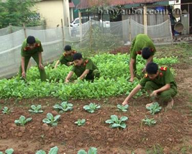 Đoàn viên thanh niên Công an tỉnh Yên Bái tích cực tăng gia, sản xuất cải thiện bữa ăn hàng ngày.