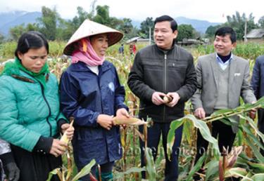 Đồng chí Dương Văn Thống (thứ 2, phải sang) - Phó bí thư Thường trực Tỉnh ủy, Chủ tịch HĐND tỉnh, Trưởng đoàn Đại biểu Quốc hội tỉnh kiểm tra tình hình sản xuất vụ đông tại huyện Văn Chấn.
