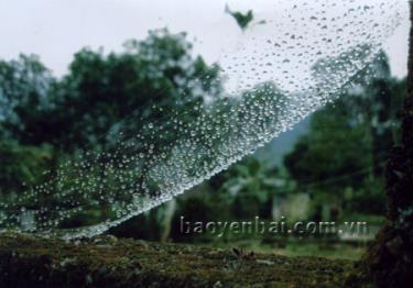 Trong ngày đông. (Ảnh: Đoàn Thanh Hà)