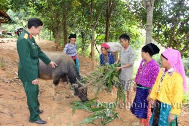 Những “người lính Cụ Hồ” hướng dẫn bà con chăm sóc gia súc.