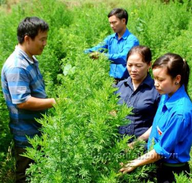 Học tập và làm theo tấm gương đạo đức Hồ Chí  Minh, cán bộ công chức xã Tân Hợp đã sâu sát cơ sở, chỉ đạo thực hiện hiệu quả các chương trình kinh tế - xã hội địa phương.
