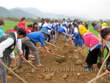 Nhờ nâng cao năng lực lãnh đạo, sức chiến đấu, Đảng bộ thị xã Nghĩa Lộ đã thực hiện tốt việc huy động sức dân tham gia xây dựng nông thôn mới.