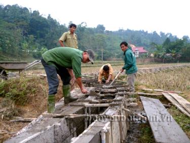 Trong 5 năm, toàn tỉnh đã nâng cấp, sửa chữa, làm mới 405 công trình thủy lợi. Trong ảnh: Làm kênh mương nội đồng ở xã Thượng Bằng La (Văn Chấn).