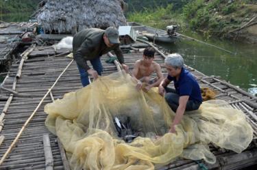 Ông Nguyễn Văn Hồng (bên phải) cùng cán bộ khuyến nông huyện Yên Bình kiểm tra cá giống.