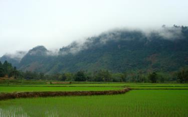 Rừng ở Thượng Bằng La (Văn Chấn). Ảnh Minh Quang