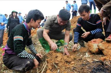 Cán bộ Hội Doanh nhân trẻ cùng các đoàn viên thanh niên trồng cây gáo vàng tại thôn Khuôn Bổ, xã Hồng Ca, huyện Trấn Yên.