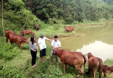 Chăn nuôi theo hướng hàng hóa đang phát triển mạnh trong nông nghiệp, nông thôn.