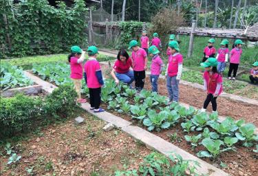 Trường Mầm non Bông Sen tổ chức cho các bé đi tham quan, trải nghiệm thực tế tại xã Minh Bảo, thành phố Yên Bái.