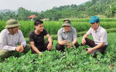 Năm 2020, sản xuất lúa của huyện Lục Yên được mùa cả hai vụ với sản lượng trên 29.800 tấn, vượt 5,4% so với kế hoạch. (Ảnh: Văn Tuấn)