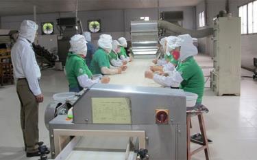 Chế biến măng khô xuất khẩu tại Công ty cổ phần Yên Thành, huyện Yên Bình.