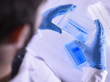 Các nhà khoa học Nhật Bản đã bào chế thành công vaccine giúp loại bỏ các tế bào zombie gây lão hóa.