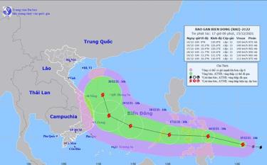 Dự báo hướng đi của bão RAI