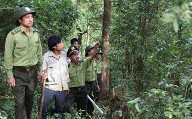 Cán bộ Hạt Kiểm lâm huyện Mù Cang Chải tuần tra, kiểm tra rừng tại khu vực có nguy cơ cháy cao.