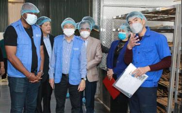 Đoàn công tác của Tổ chức Nông nghiệp và Lương thực của Liên Hợp Quốc tham quan Hợp tác xã Quế Hồi Việt Nam.