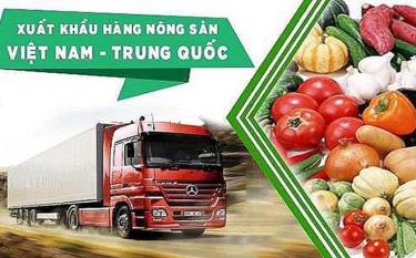 Hơn 1.000 mã sản phẩm Việt Nam được xuất khẩu sang Trung Quốc