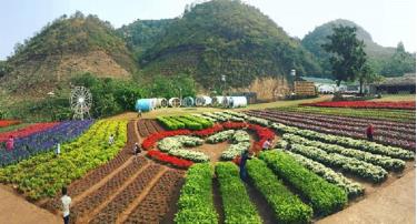 Huyện Mộc Châu, tỉnh Sơn La có khí hậu ôn đới gió mùa cùng nhiều điểm du lịch nổi tiếng.