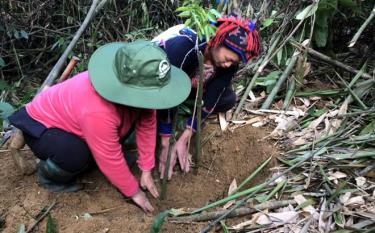 Leaders of the provincial Farmers’ Union plant trees in Tan Phong village, Tan Nguyen commune.