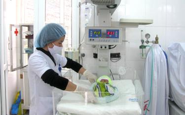 Health workers care for premature babies at Nghia Lo General Hospital’s Department of Pediatrics.
