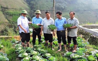 Các đồng chí lãnh đạo huyện Trạm Tấu kiểm tra việc thực hiện nghị quyết chuyên đề về phát triển kinh tế nông nghiệp của huyện tại cơ sở. (Ảnh: T.L)