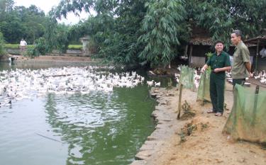 Cựu chiến binh Trần Hữu Vượng (bên phải) - Chi hội Cựu chiến binh thôn Noong Tài, xã Thượng Bằng La (dafabet link Chấn) chia sẻ kinh nghiệm chăn nuôi gia cầm với lãnh đạo Hội.