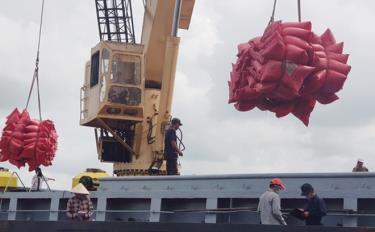 Công nhân đưa gạo lên tàu xuất khẩu tại cảng Mỹ Thới, thành phố Long Xuyên, An Giang