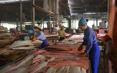 Mô hình chế biến gỗ link vào dafabet trồng của Công ty TNHH Công nghiệp Hòa Phát, huyện Yên Bình.