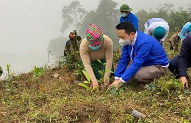 An officer of the provincial Forest Protection Department is instructing locals to grow cinnamon in Pa Lau commune, Tram Tau district.
