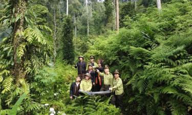 Lực lượng kiểm lâm huyện Văn Yên triển khai kế hoạch tuần tra bảo vệ rừng ở Khu bảo tồn thiên nhiên Nà Hẩu. Ảnh: TTXVN