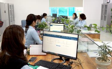 Cán bộ, viên chức Phòng Chế độ, BHXH tỉnh làm thủ tục hồ sơ giải quyết chế độ, chính sách cho người lao động