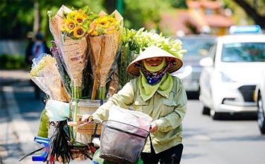 Hình minh họa