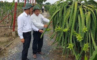 Doanh nghiệp đồng hành trong đào tạo nhân lực nông nghiệp chất lượng cao.