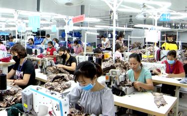 Các doanh nghiệp may FDI trong tỉnh cũng đã đào tạo và tuyển dụng vào làm việc tại các công ty TNHH may Unico Global, Vina KNF, Daeseung trên 500 lao động.
