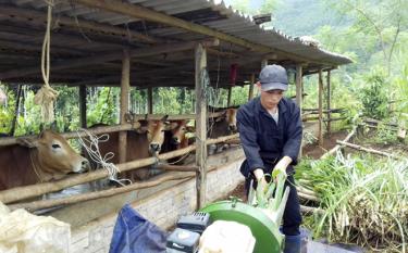 Nhiều hộ nghèo ở Văn Yên được tiếp cận với các nguồn vốn chính sách để phát triển kinh tế, vươn lên giảm nghèo bền vững.