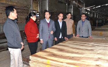 Lãnh đạo huyện Văn Yên thăm cơ sở sản xuất gỗ ván ép trên địa bàn huyện