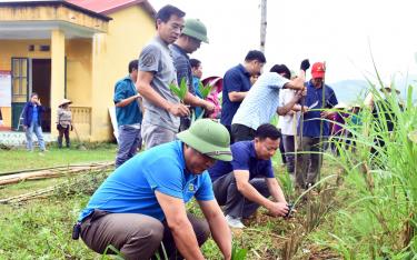 Nhân dân thôn Sơn Thượng, xã Mai Sơn, huyện Lục Yên trồng cây cảnh để tạo cảnh quan nông thôn mới.