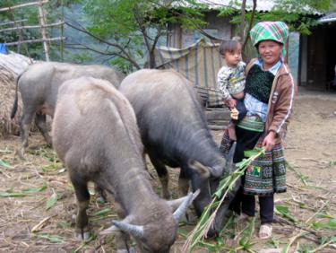 Gia đình chị Giàng Thị Sau đ