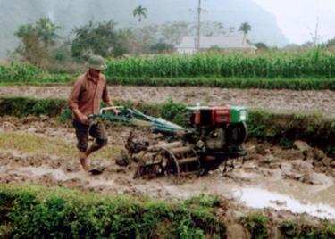 Nhờ vốn vay ngân hàng, nhiều hộ nông dân đã có vốn để mua máy móc phục vụ sản xuất.
Ảnh: Nông dân xã Minh Xuân, huyện Lục Yên làm đất gieo cấy vụ đông xuân.
