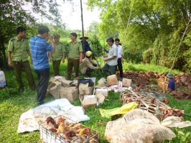 Đội Quản lý thị trường số 3 tiêu hủy hàng giả, hàng lậu.