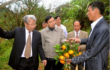 Đồng chí Trần Đức Lương - nguyên Chủ tịch nước thăm mô hình trồng cam tại thị trấn Nông trường Trần Phú, huyện Văn Chấn.