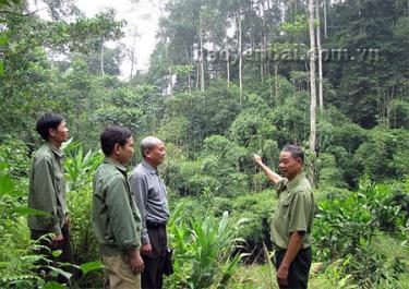 Cán bộ Hội Cựu chiến binh huyện, xã tham quan đồi rừng kinh tế của hội viên cựu chiến binh thôn Đèo Thao.
