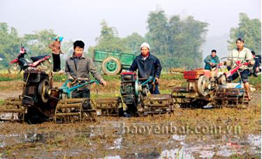 Nông dân Văn Chấn xuống đồng sản xuất vụ xuân 2016.