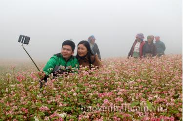 Du khách thích thú với vườn hoa tam giác mạch đẹp như tranh vẽ ở Suối Giàng