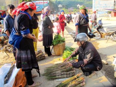 Mùa măng ở Mù Cang Chải.