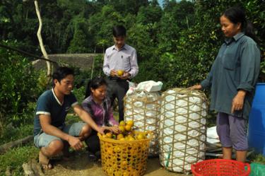 Mô hình kinh tế tổng hợp của đảng viên Nông Văn Bài cho thu nhập mỗi năm gần 100 triệu đồng.