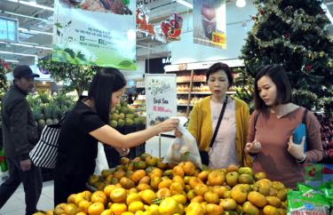 Sản phẩm quýt sen Văn Chấn trưng bày tại Siêu thị Big C được nhiều người tiêu dùng lựa chọn.