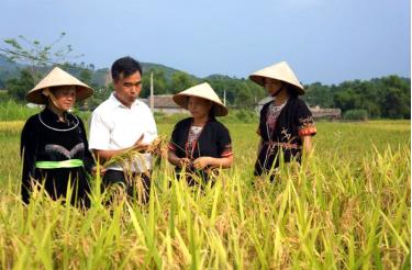 Lãnh đạo xã Bạch Hà, huyện Yên Bình luôn sâu sát quần chúng nhân dân để tuyên truyền, vận động và tìm nguồn phát triển Đảng.