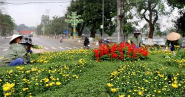 Công nhân Công ty cổ phần Môi trường và Công trình đô thị Yên Bái trang trí hoa tại khu vực trung tâm Km5.