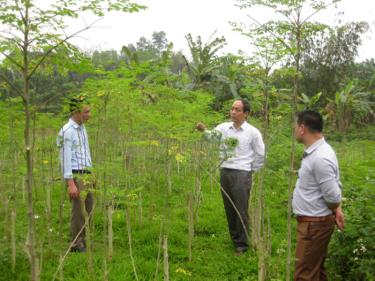 Đồng chí Vũ Xuân Hợi - Giám đốc Sở Khoa học và Công nghệ (đứng giữa) kiểm tra tiến độ thực hiện Dự án 